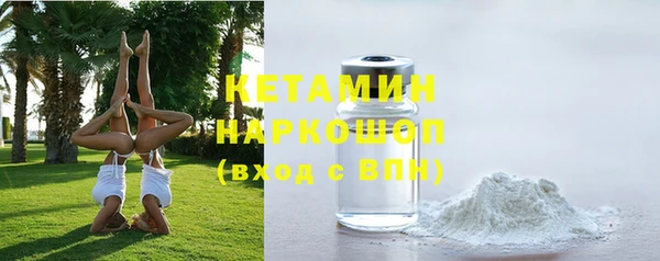 дмт Пересвет