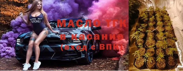 дмт Пересвет