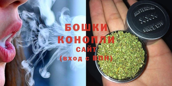 дмт Пересвет