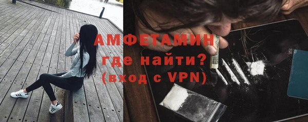 дмт Пересвет