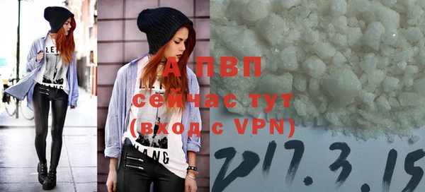дмт Пересвет