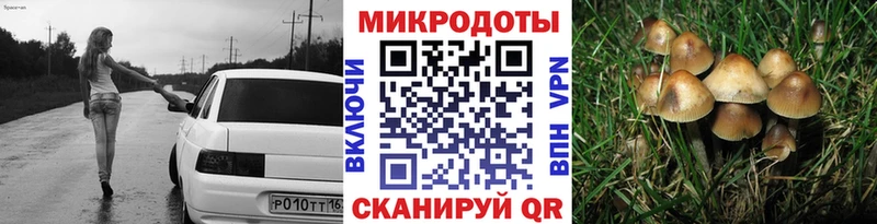 Псилоцибиновые грибы мухоморы Туринск